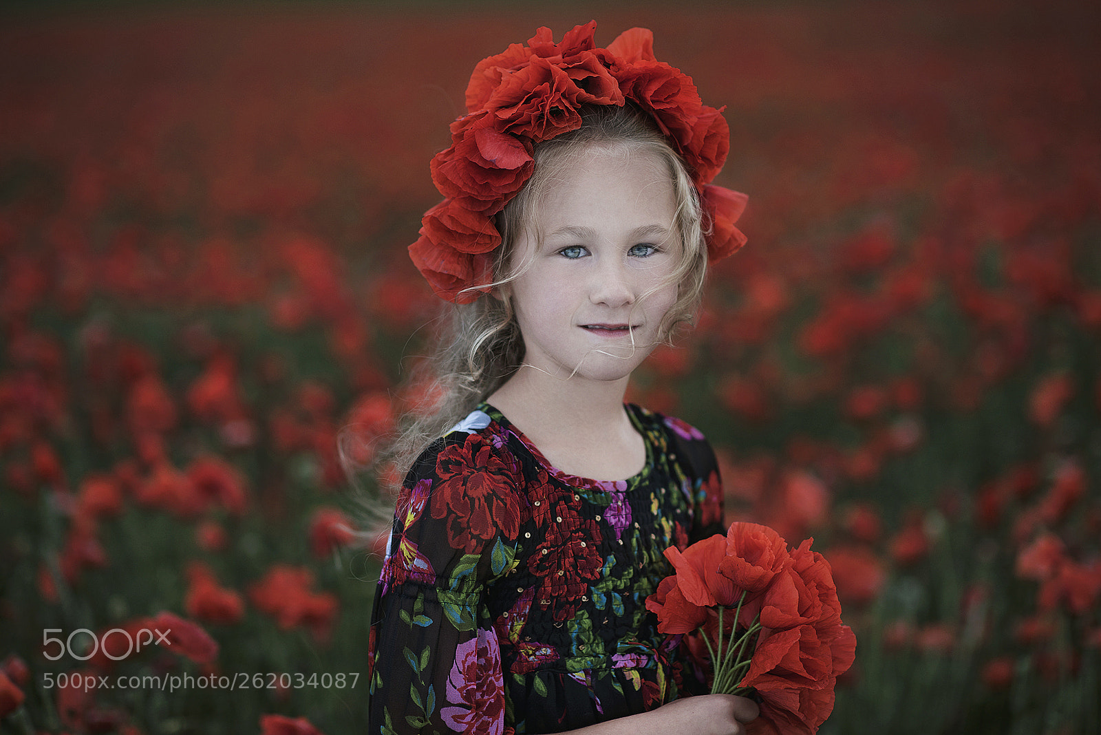 Nikon D750 sample photo. Poppy seeds girl photography