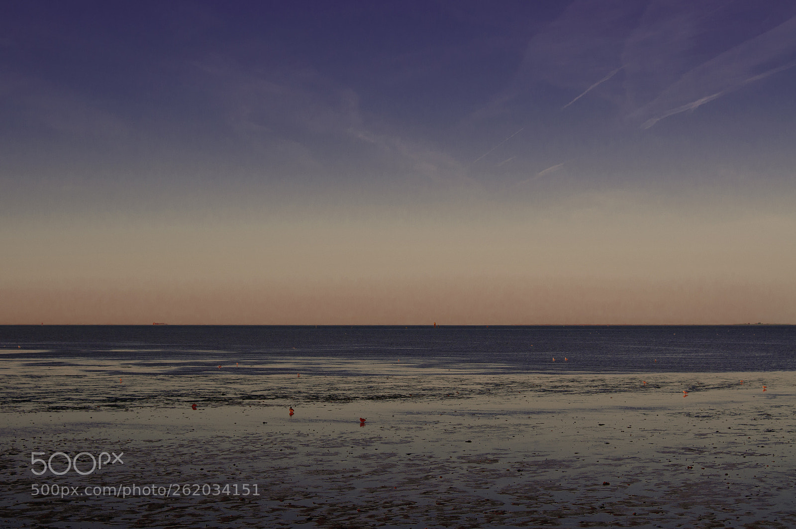 Nikon D300 sample photo. Wadden sea horumersiel-schillig photography