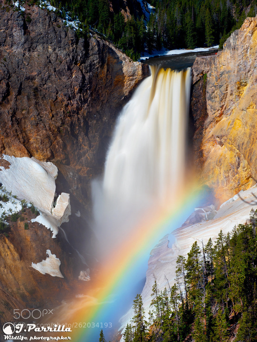 Olympus OM-D E-M1 Mark II sample photo. Yellowstone photography