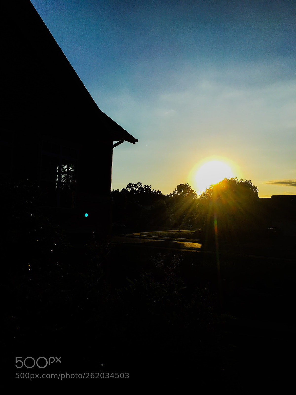 Apple iPhone 6s sample photo. Untitled photography