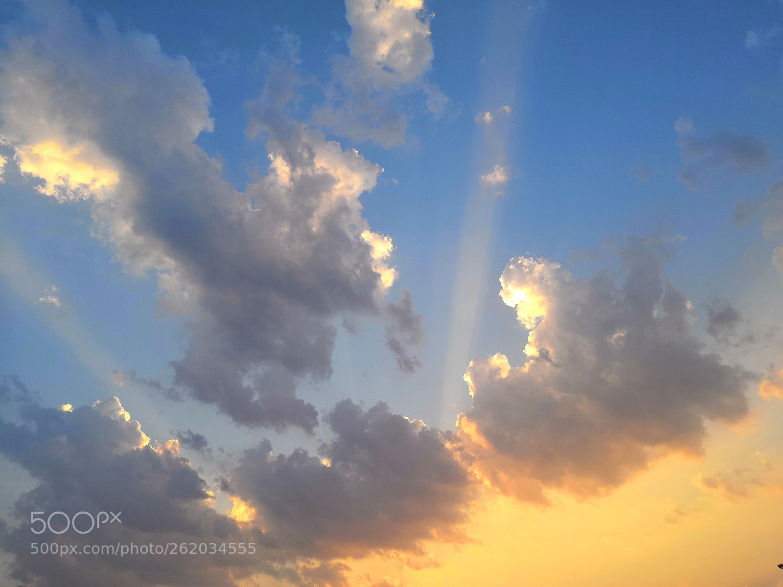 HUAWEI Honor 10 sample photo. Untitled photography