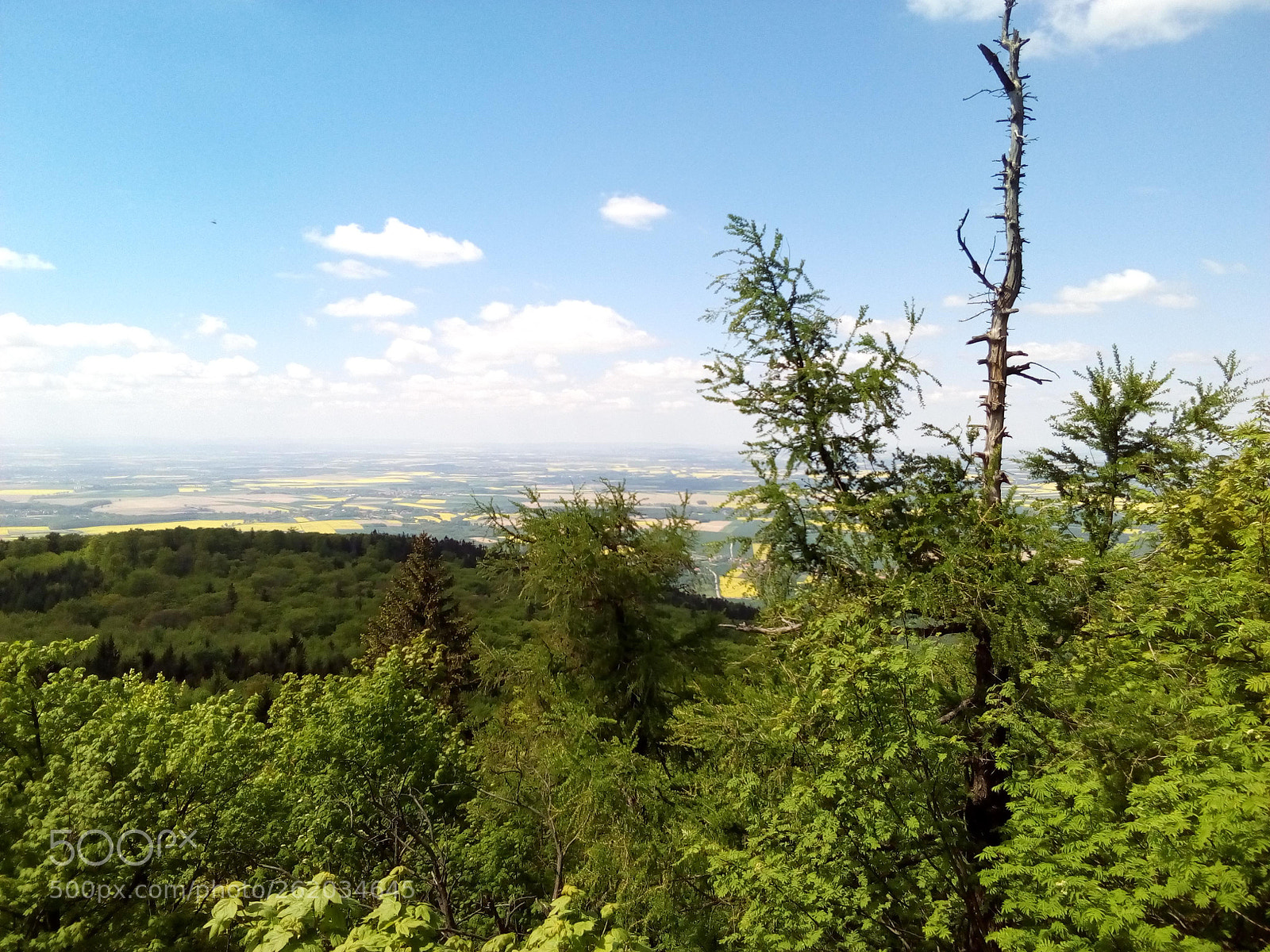 ZTE BLADE A452 sample photo. Polish nature photography