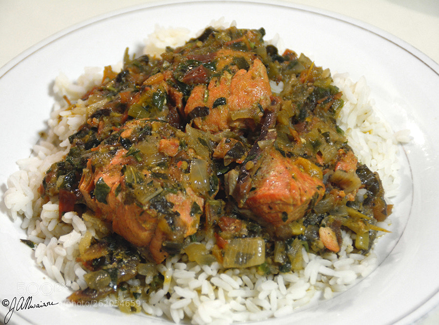 Nikon D7100 sample photo. Rice with salmon stew photography