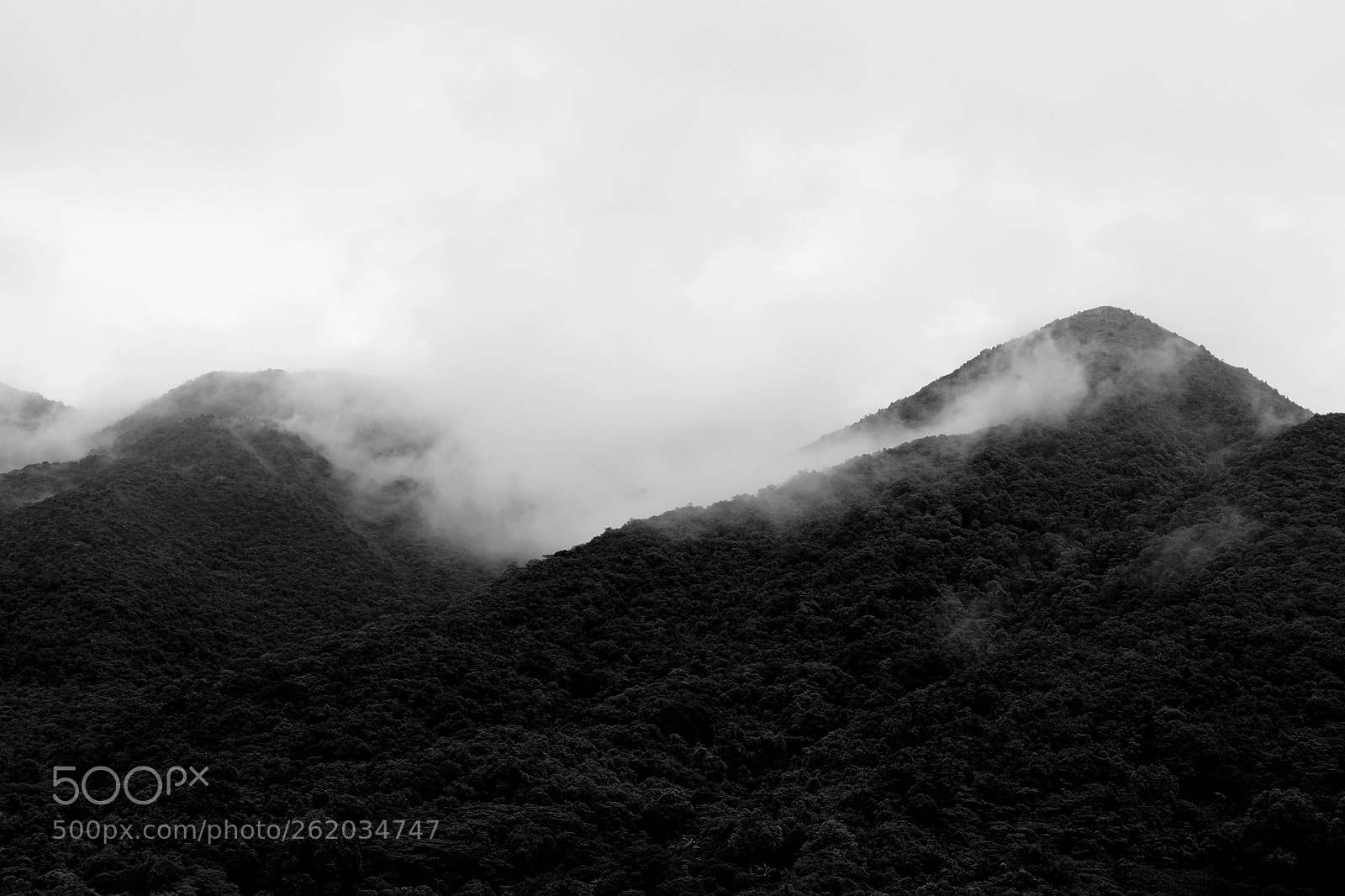 Fujifilm X-T20 sample photo. B&w photography