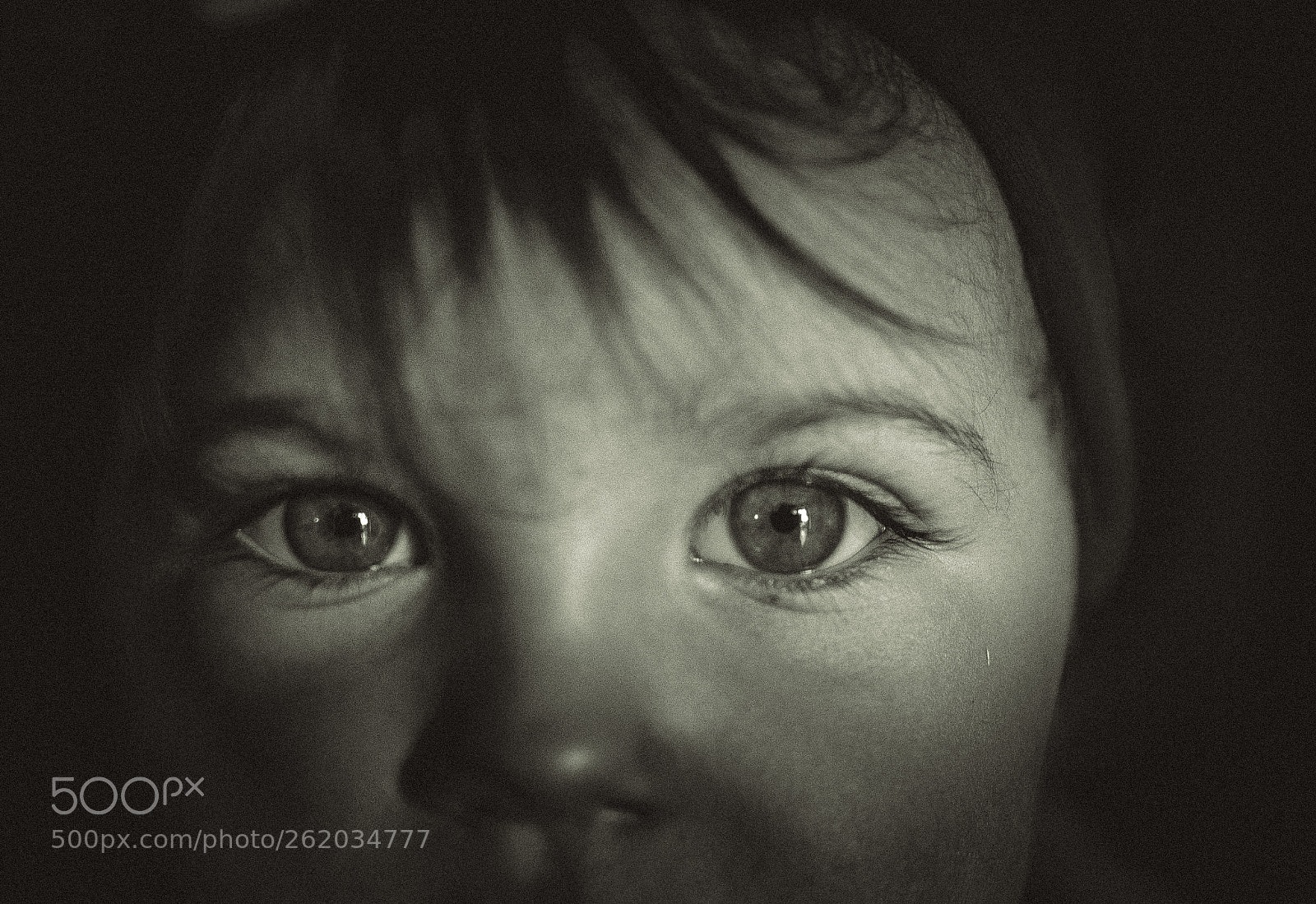 Nikon D7100 sample photo. Eyes in the shadow. photography