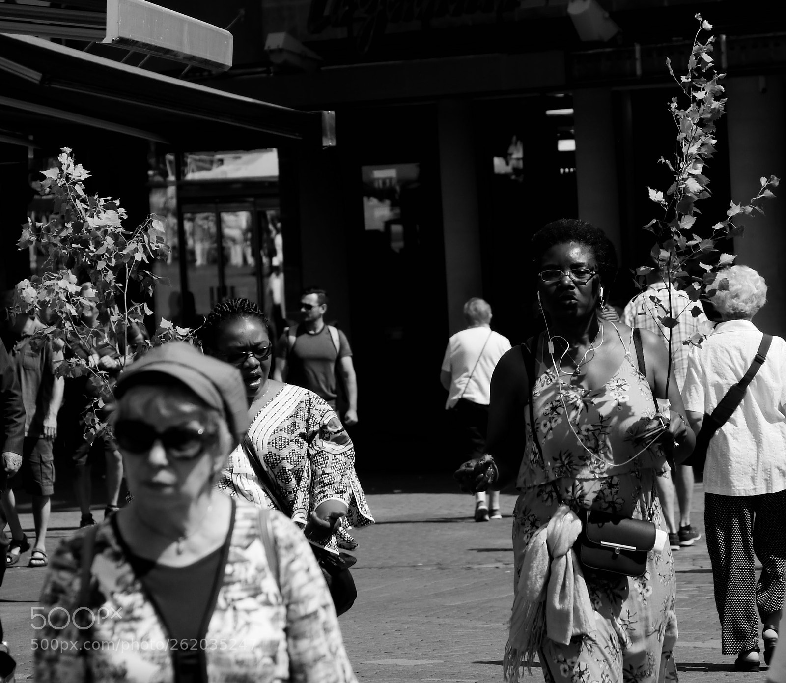 Panasonic Lumix DMC-G5 sample photo. Untitled 3 photography
