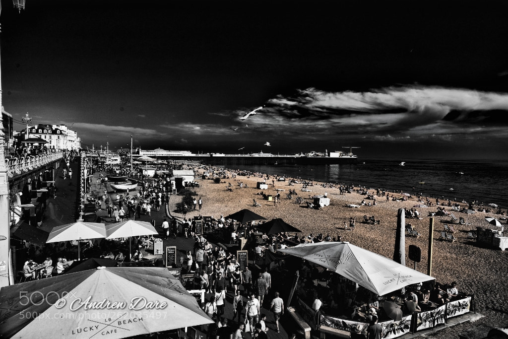 Nikon D810 sample photo. Brighton seafront photography