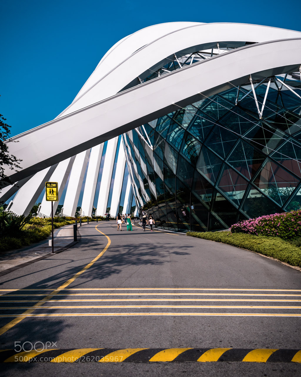 Nikon D5500 sample photo. Flower dome, singapore photography