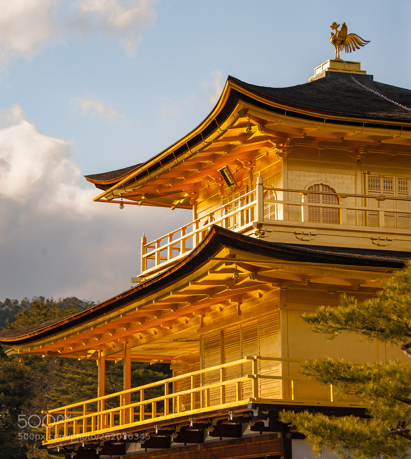 Nikon D3 sample photo. Kinkakuji photography