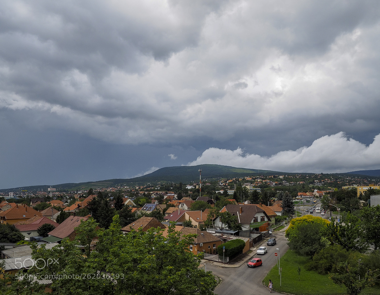 Olympus OM-D E-M1 sample photo. Overcast photography