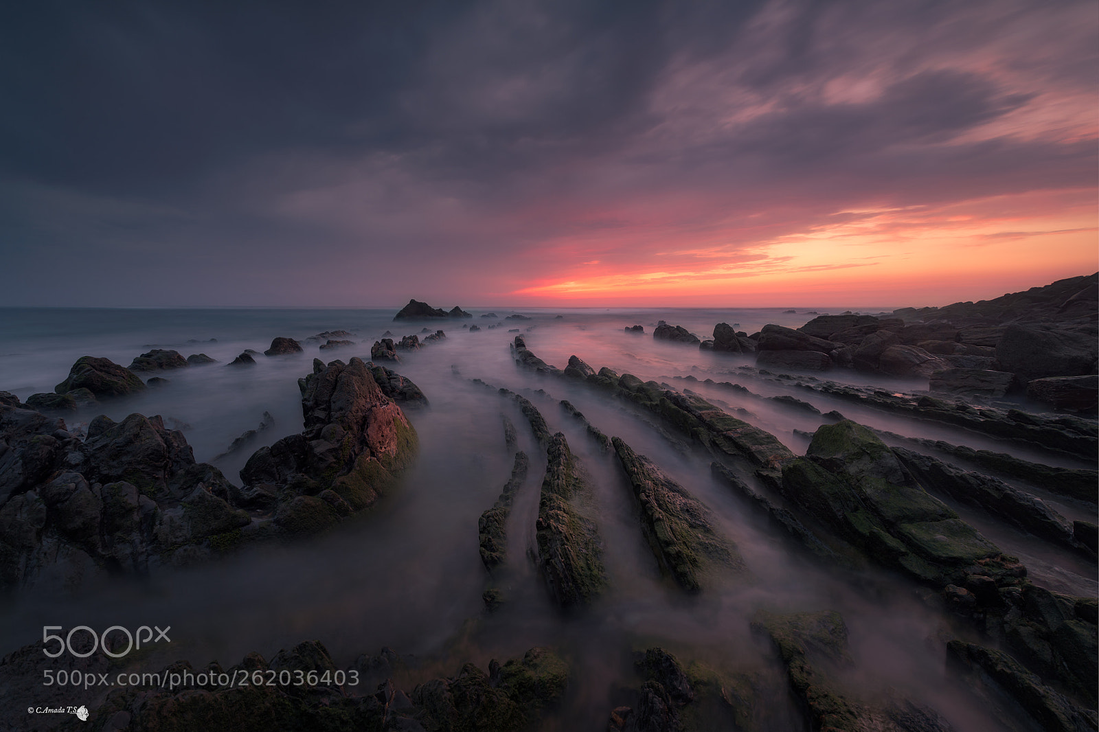 Nikon D850 sample photo. El dragon de barrika  photography