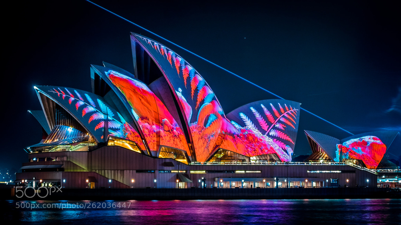 Fujifilm X-T1 sample photo. Vividsydney photography