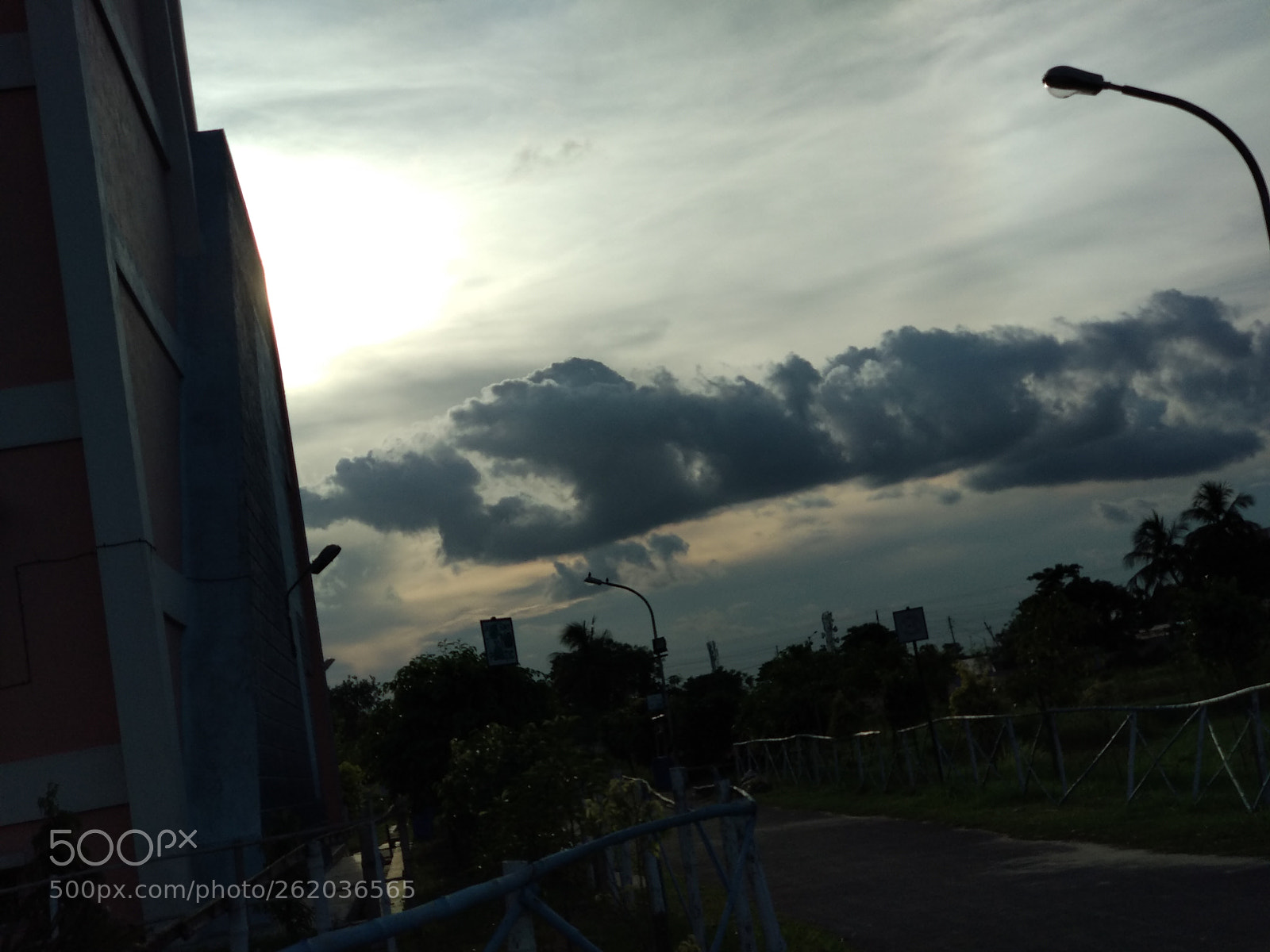 Xiaomi Mi A1 sample photo. Untitled photography
