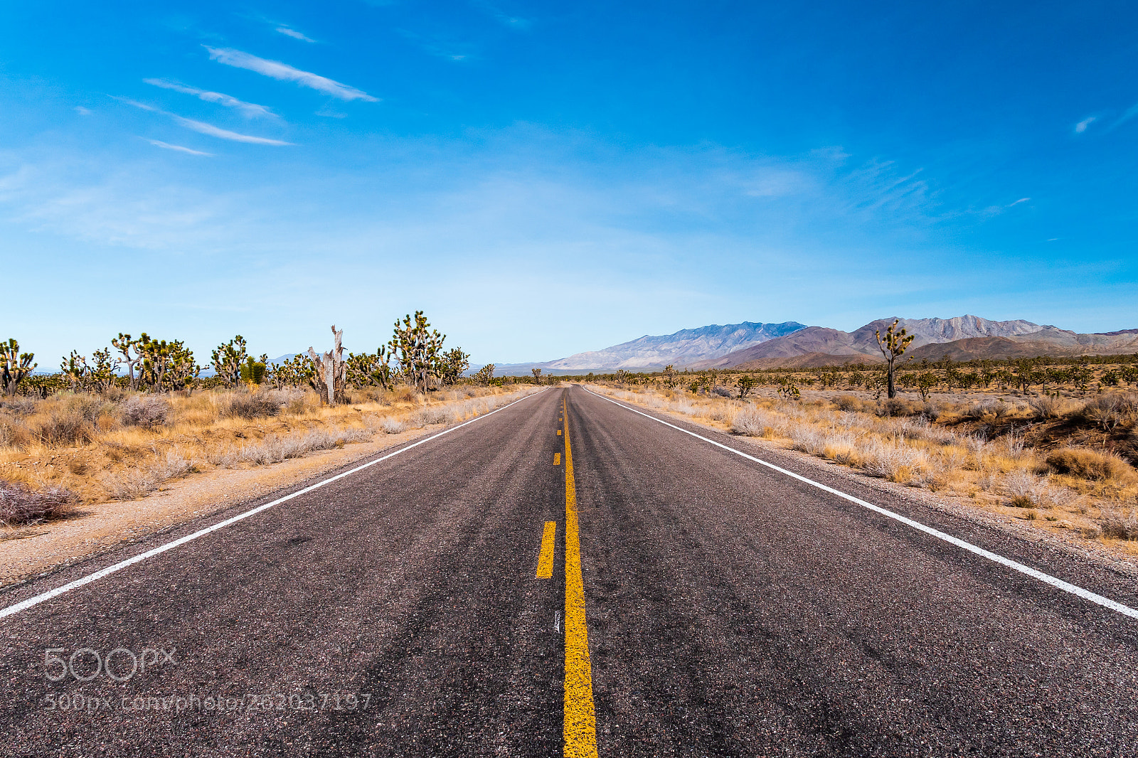 Panasonic Lumix DMC-GX8 sample photo. Drive through the desert photography
