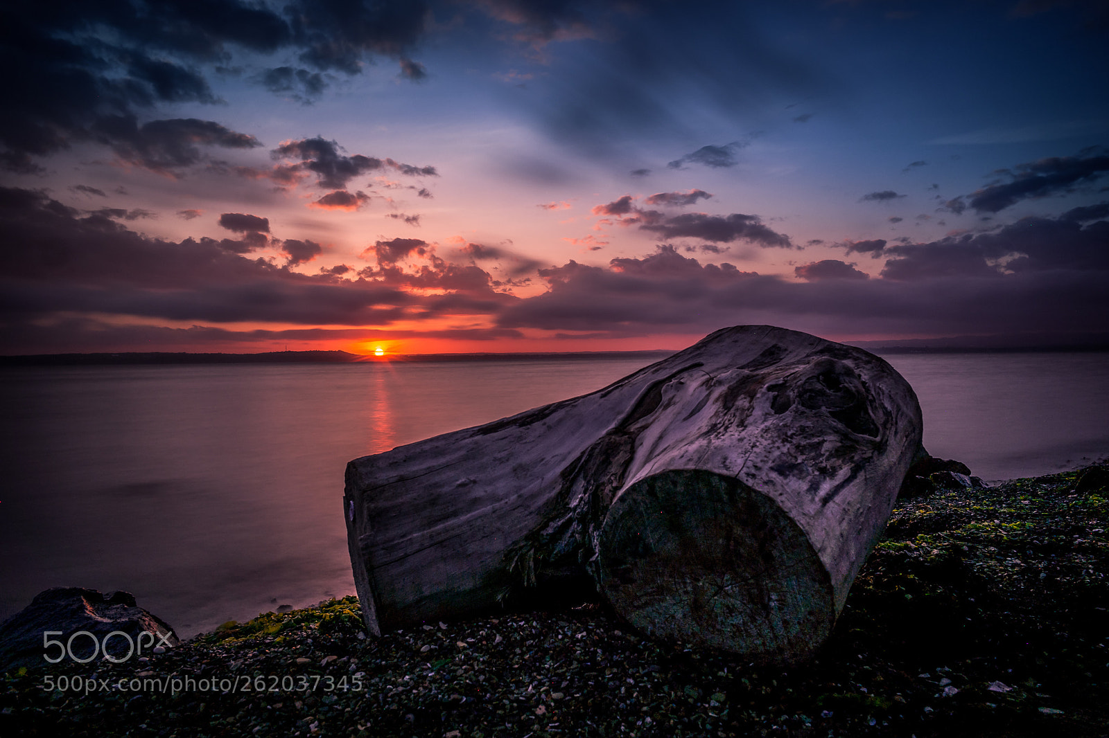 Samsung NX300 sample photo. Stump at sunset photography