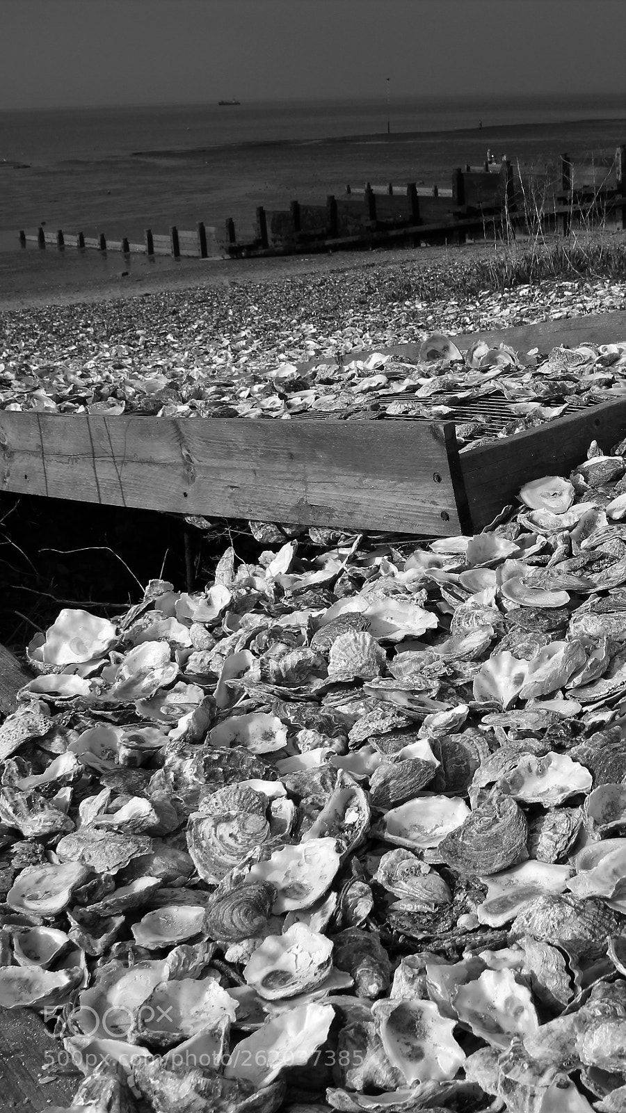 Canon EOS 1300D (EOS Rebel T6 / EOS Kiss X80) sample photo. Whitstable - oyster heaven! photography