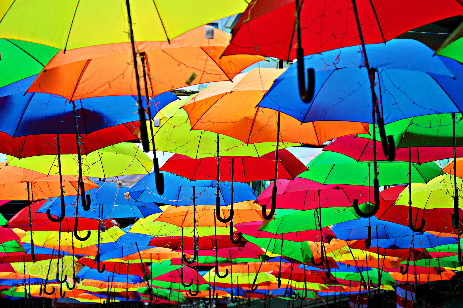 Canon EOS 7D Mark II sample photo. Let the rain begin. photography