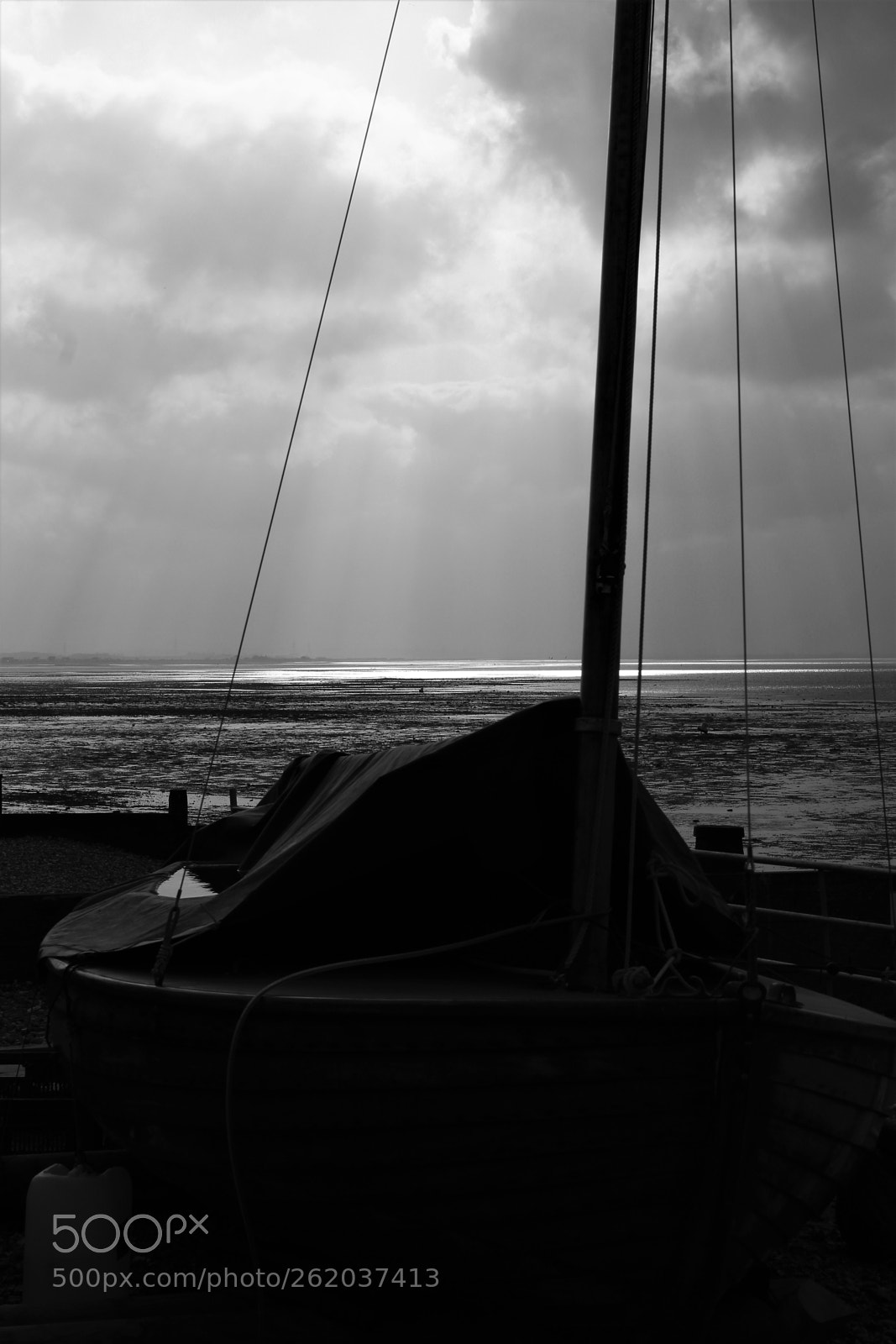 Canon EOS 1300D (EOS Rebel T6 / EOS Kiss X80) sample photo. Whitstable - oyster heaven! photography