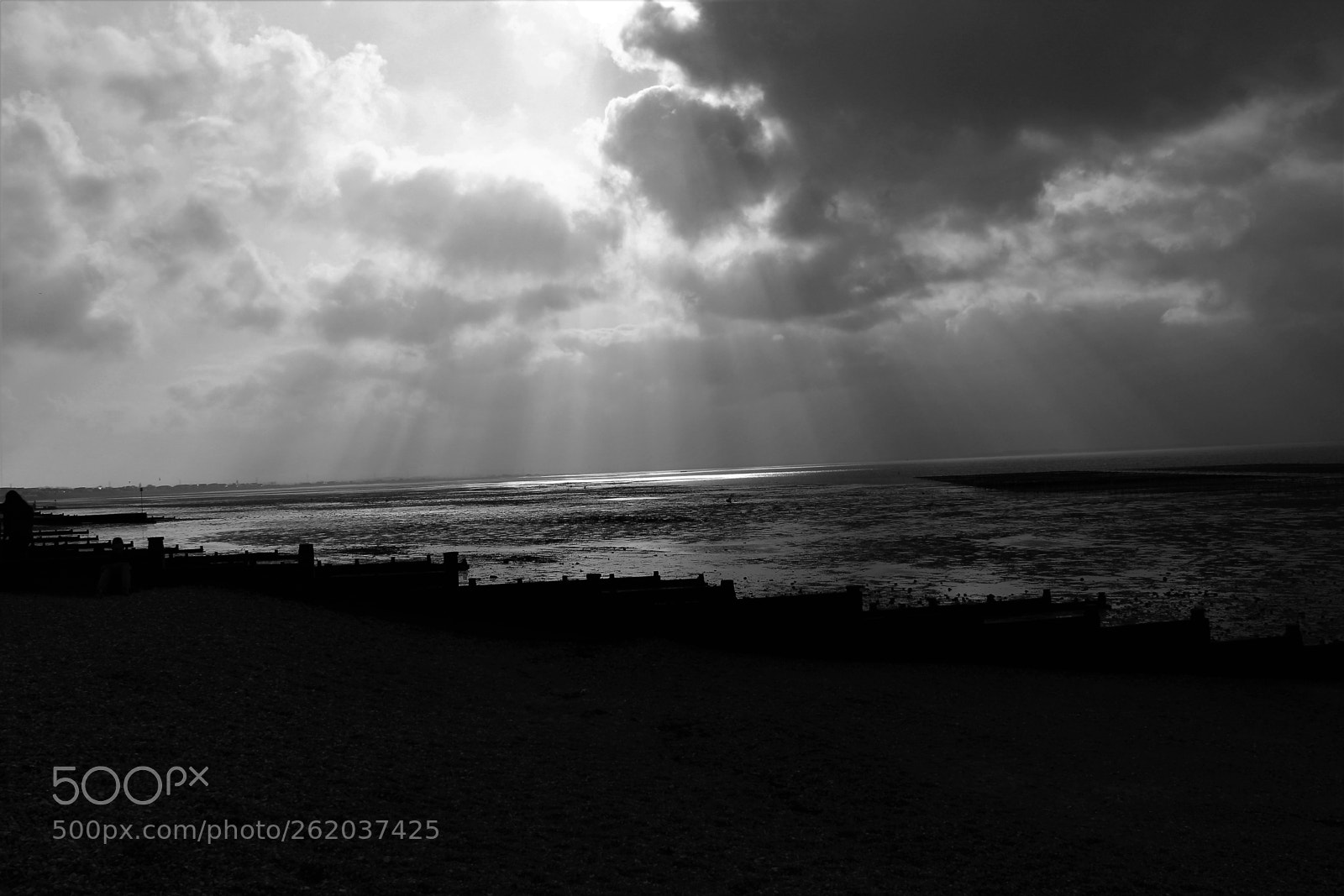 Canon EOS 1300D (EOS Rebel T6 / EOS Kiss X80) sample photo. Whitstable - oyster heaven! photography