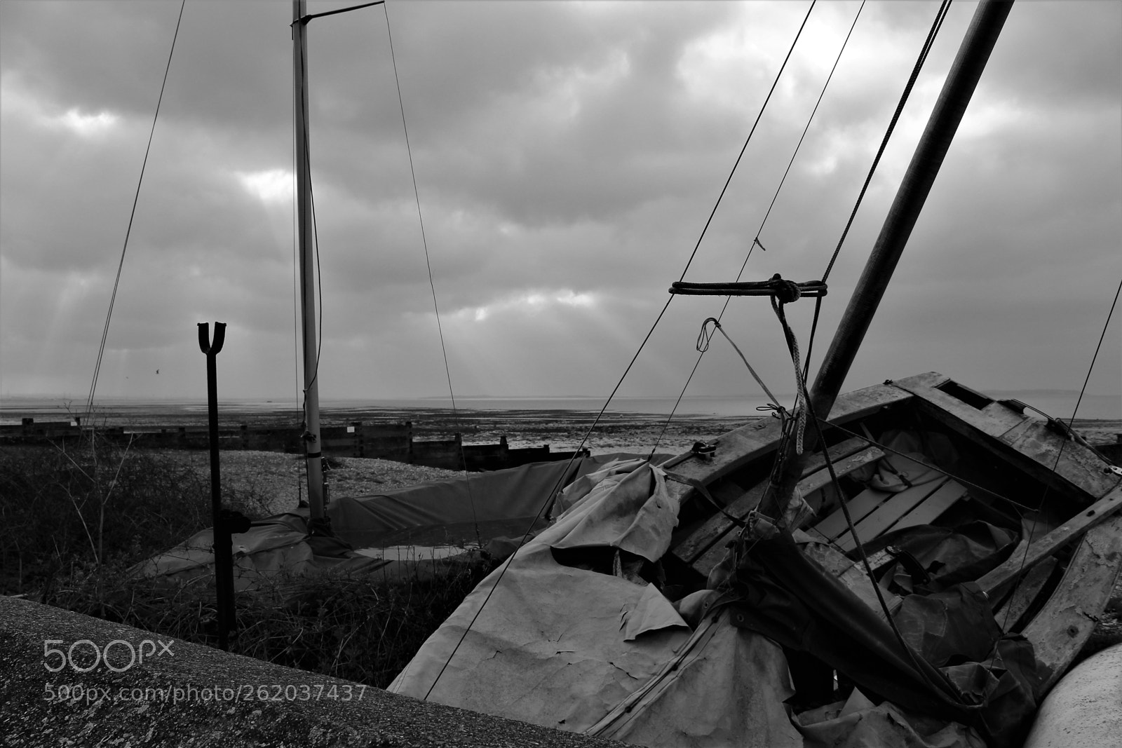 Canon EOS 1300D (EOS Rebel T6 / EOS Kiss X80) sample photo. Whitstable - oyster heaven! photography
