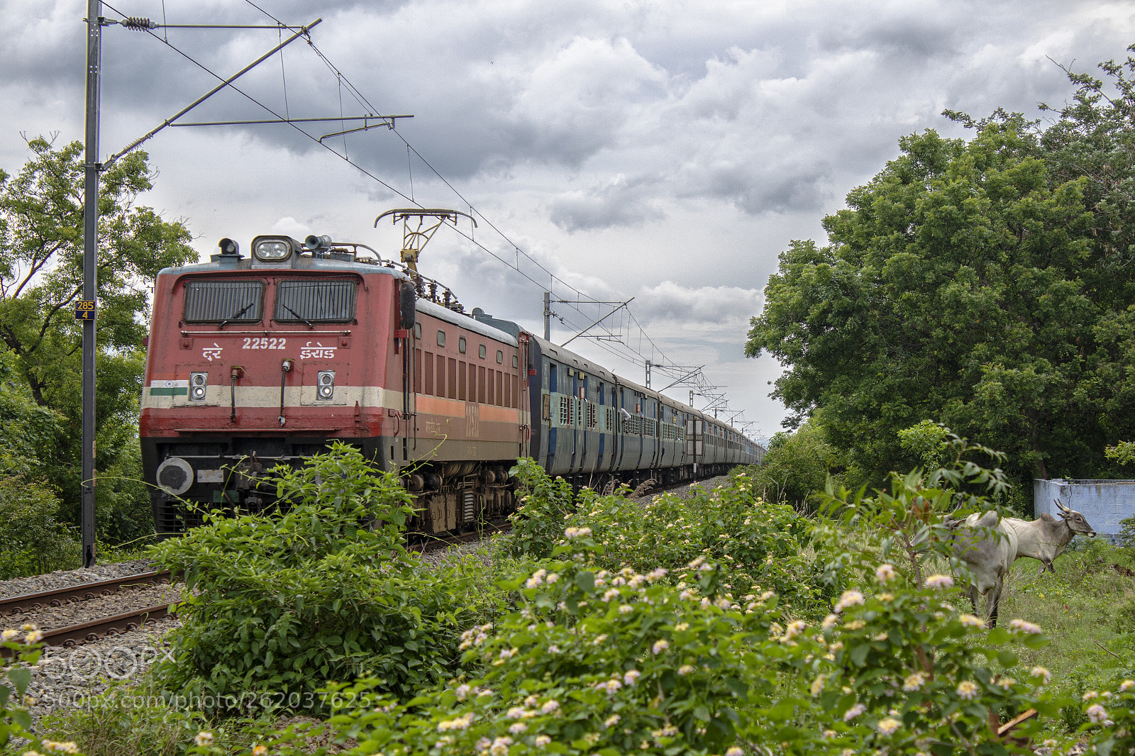 Canon EOS 7D Mark II sample photo. Indian railways and monsoon photography