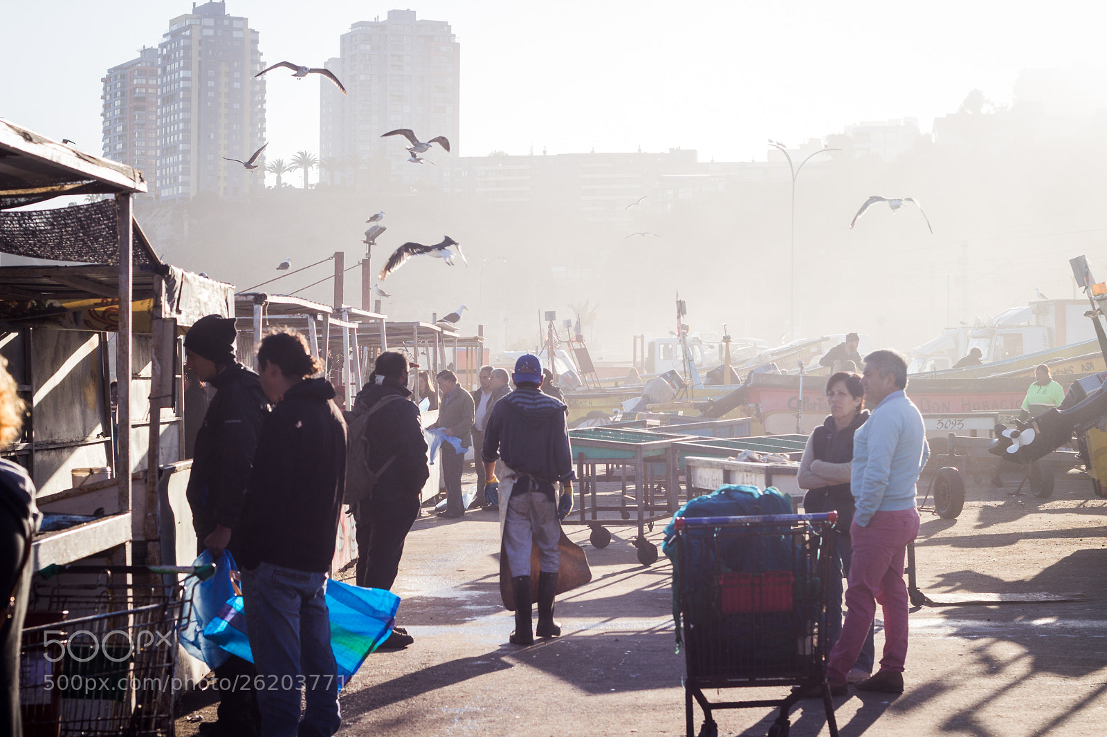 Canon EOS 600D (Rebel EOS T3i / EOS Kiss X5) sample photo. The fish market photography