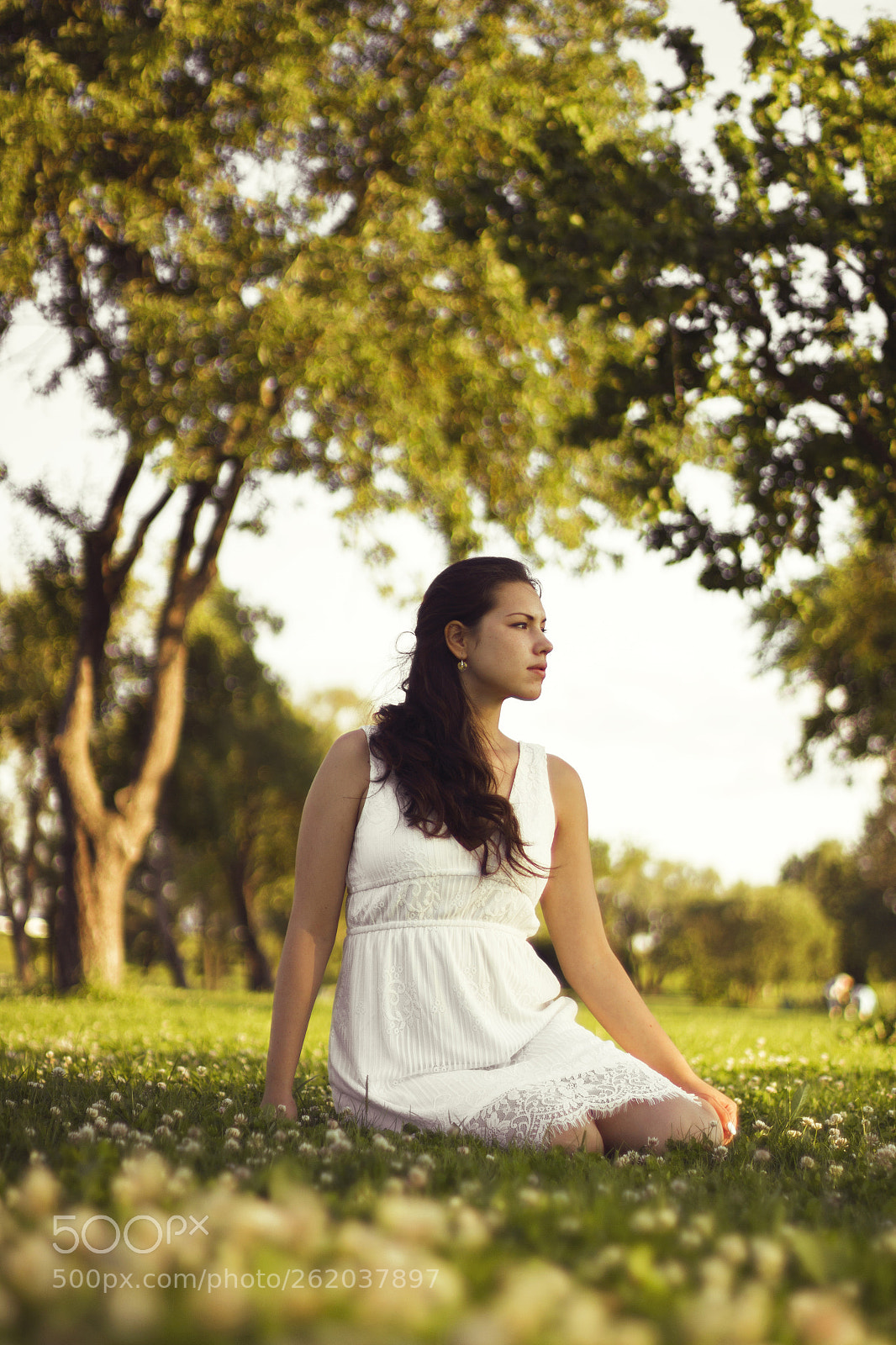 Canon EOS 550D (EOS Rebel T2i / EOS Kiss X4) sample photo. Snezhana photography