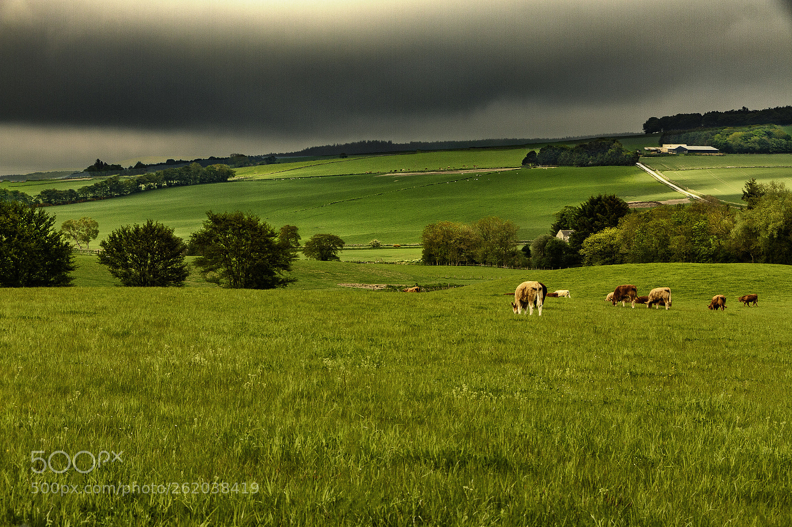 Canon EOS 70D sample photo. Aberdeenshire photography