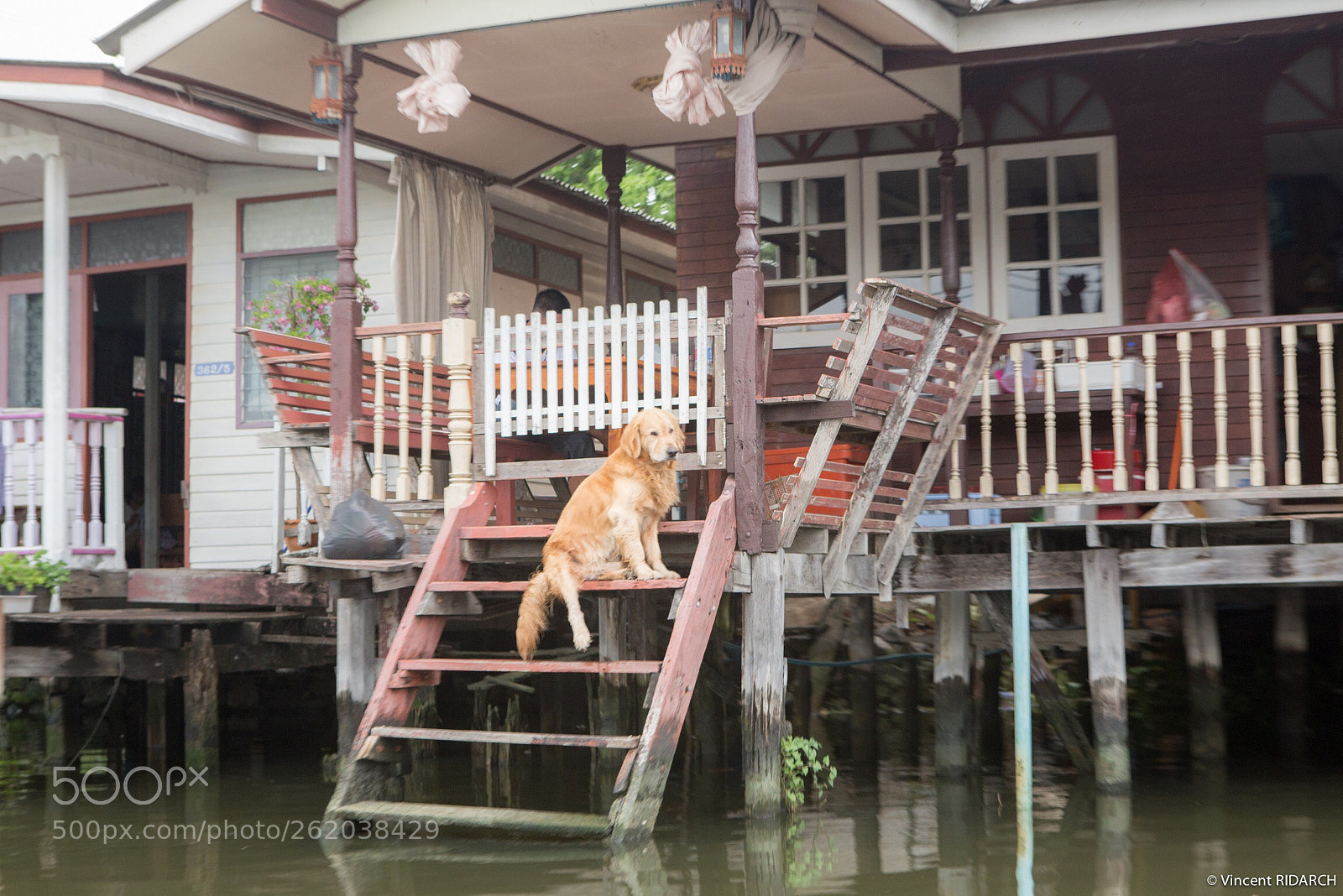 Canon EOS 6D sample photo. Untitled photography