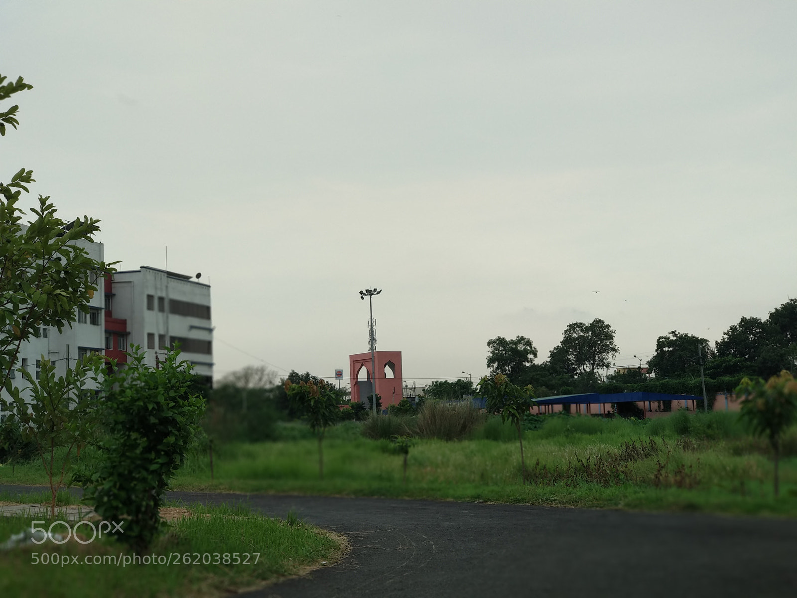 Xiaomi Mi A1 sample photo. Untitled photography