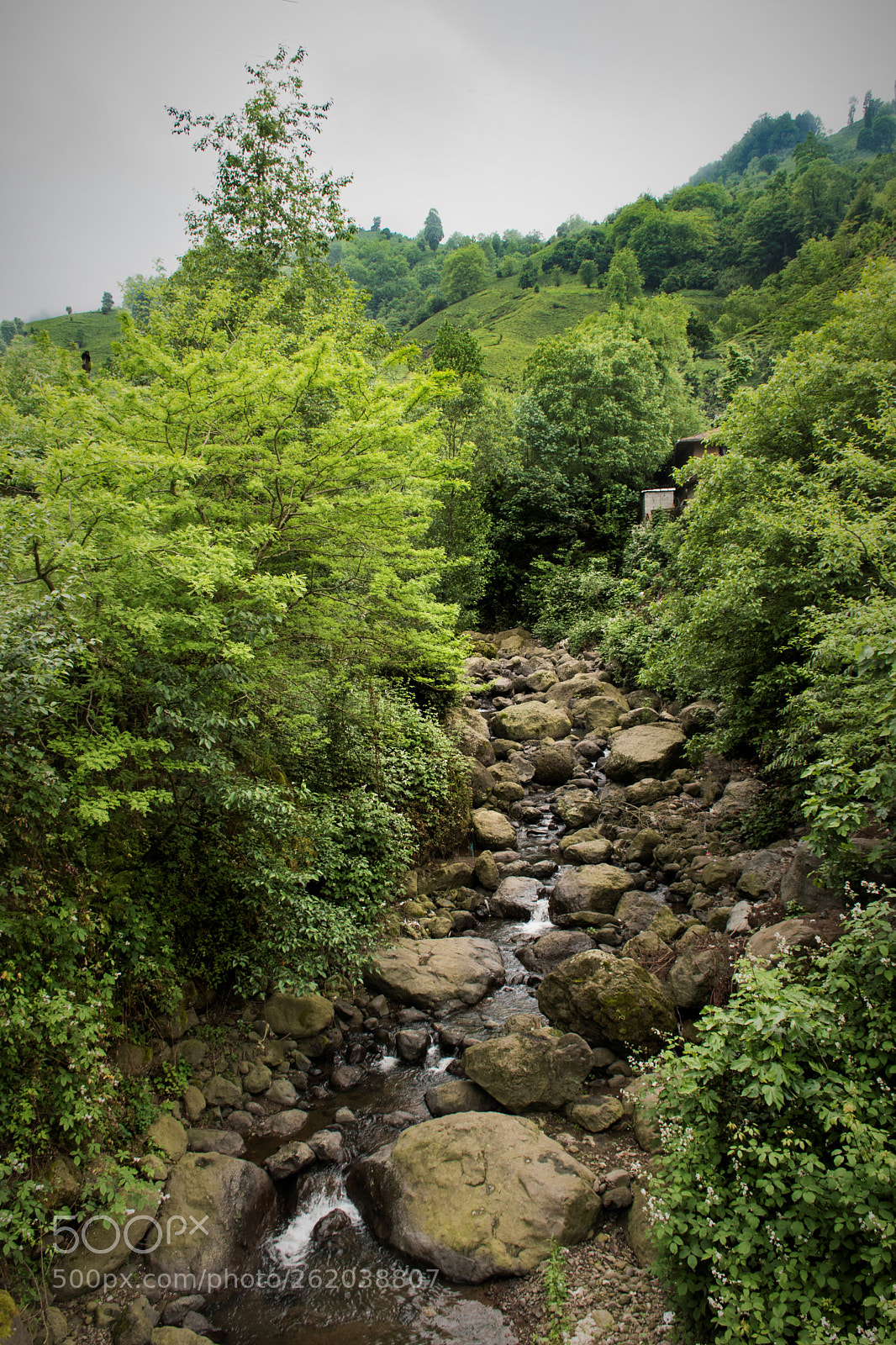 Nikon D5500 sample photo. River photography
