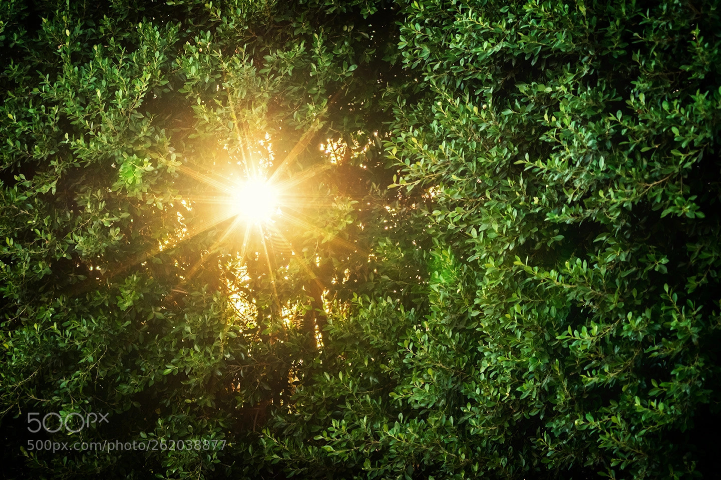Nikon D5300 sample photo. Into the light photography