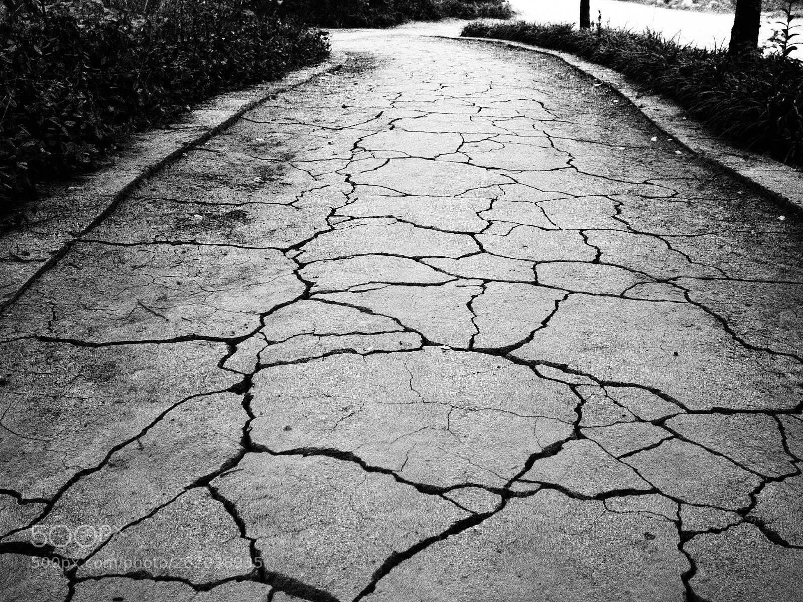 Olympus PEN-F sample photo. Cracked narrow road photography