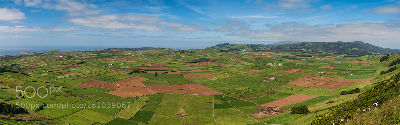 Sony a7R III sample photo. Serra do cume photography