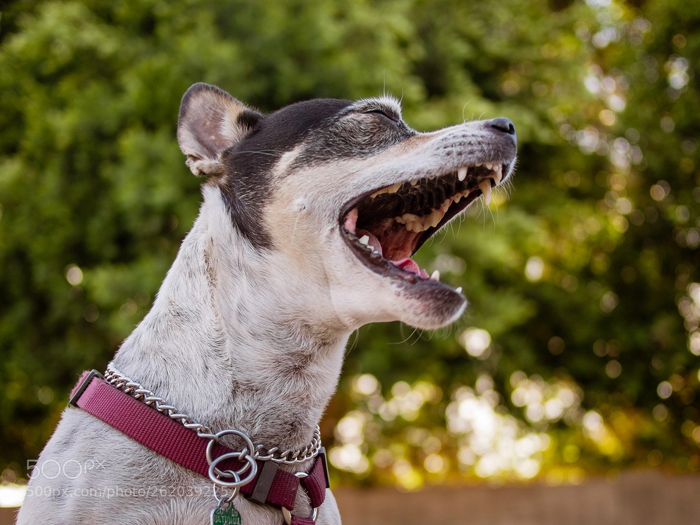 Olympus PEN E-PL5 sample photo. Complete bliss photography