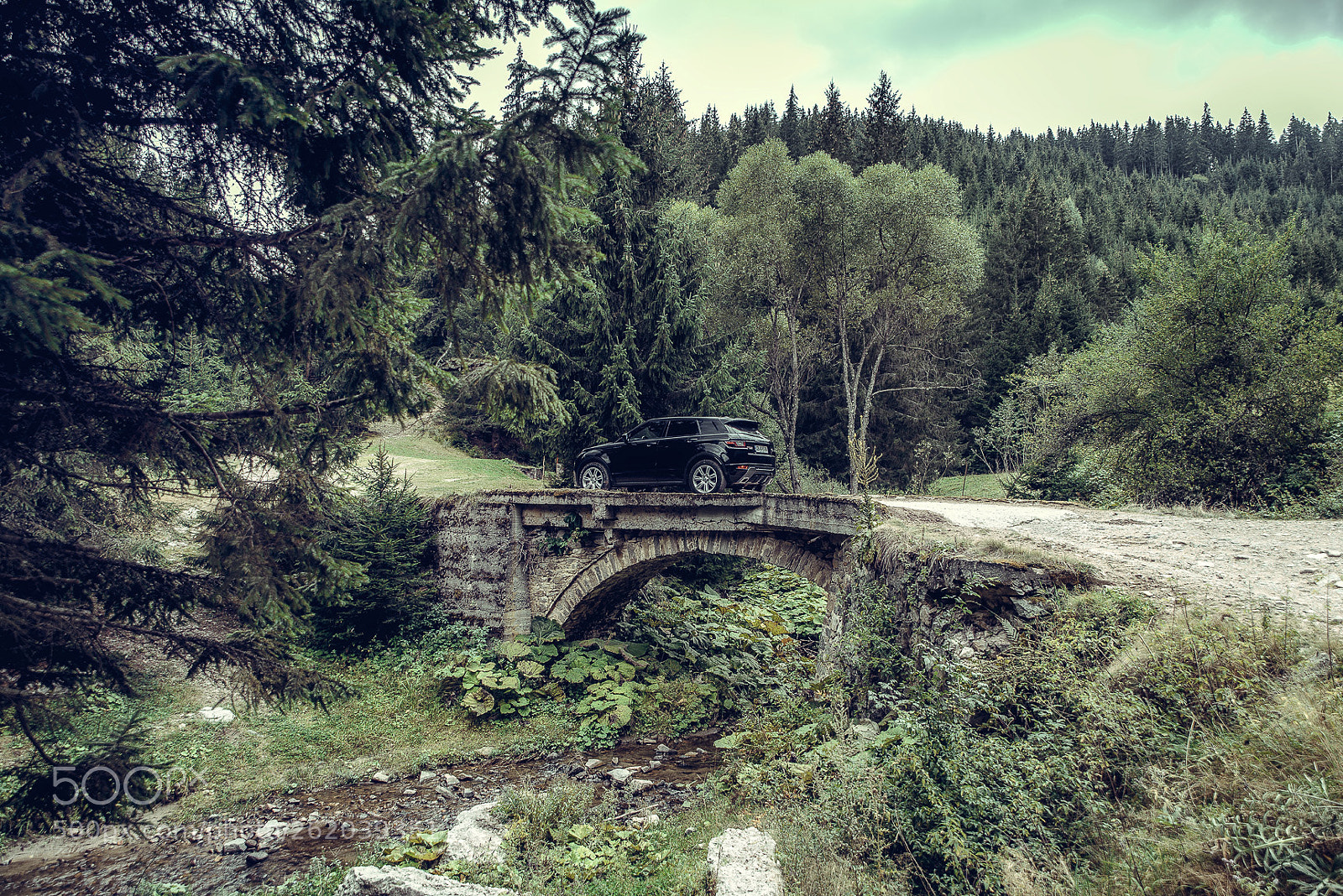 Nikon D800 sample photo. #preso_petrov photography