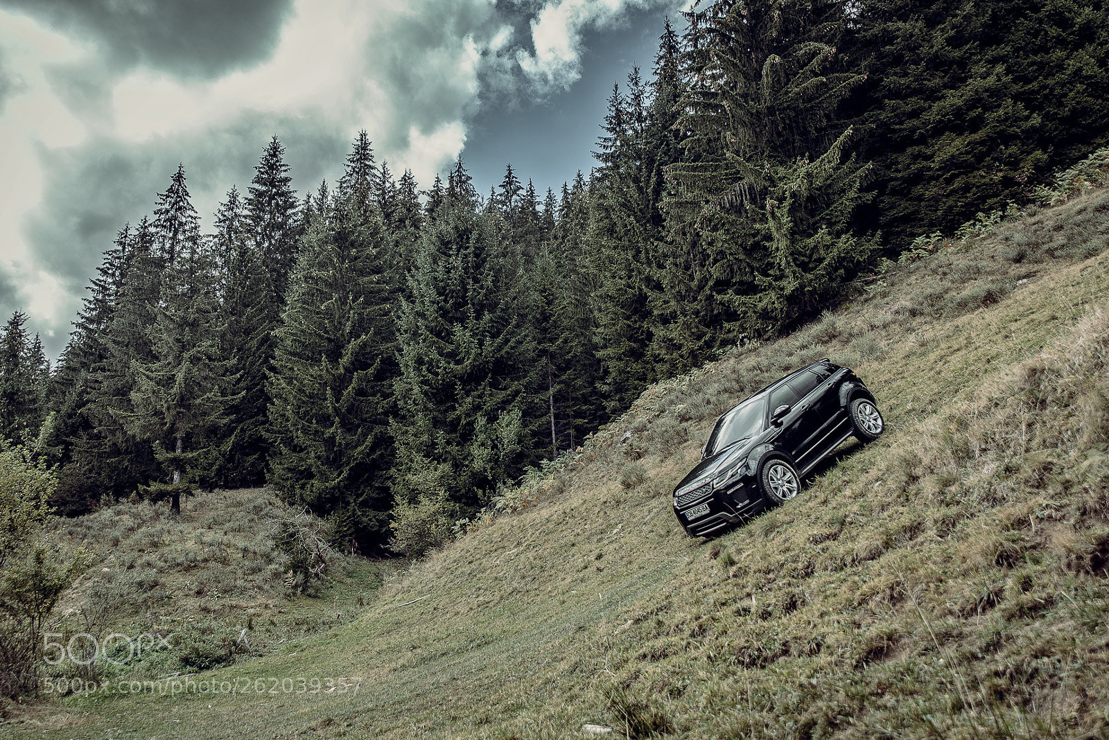 Nikon D800 sample photo. #preso_petrov photography