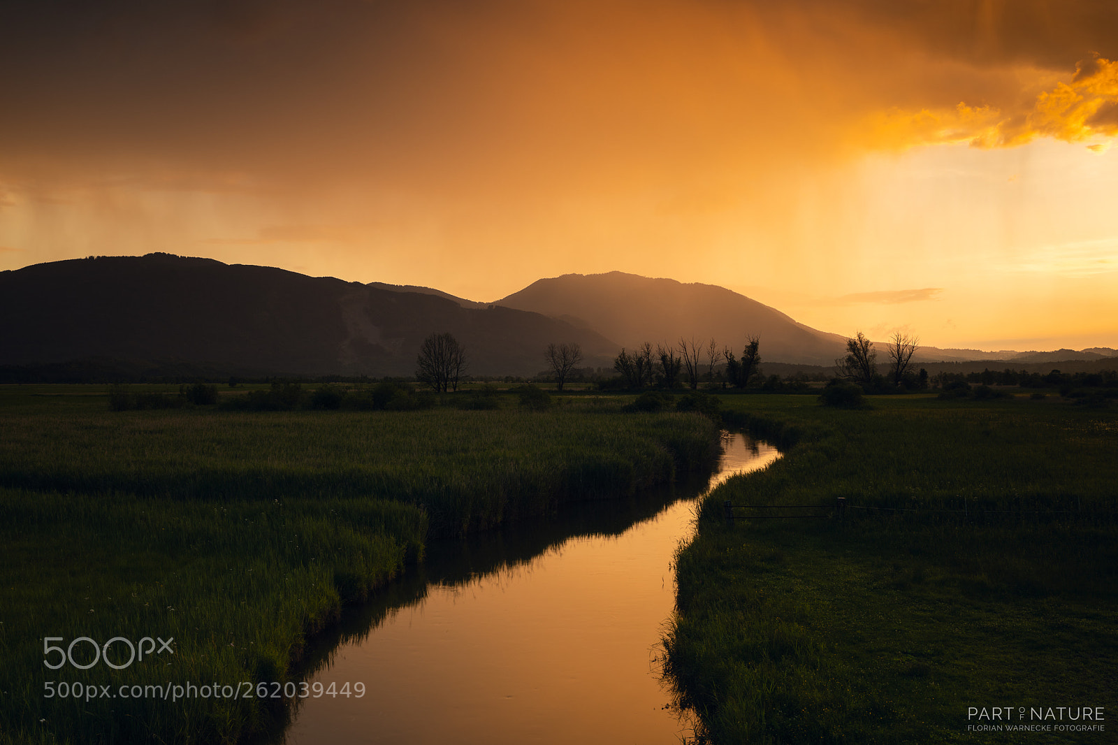 Canon EOS 5D Mark IV sample photo. Rainy sunset photography