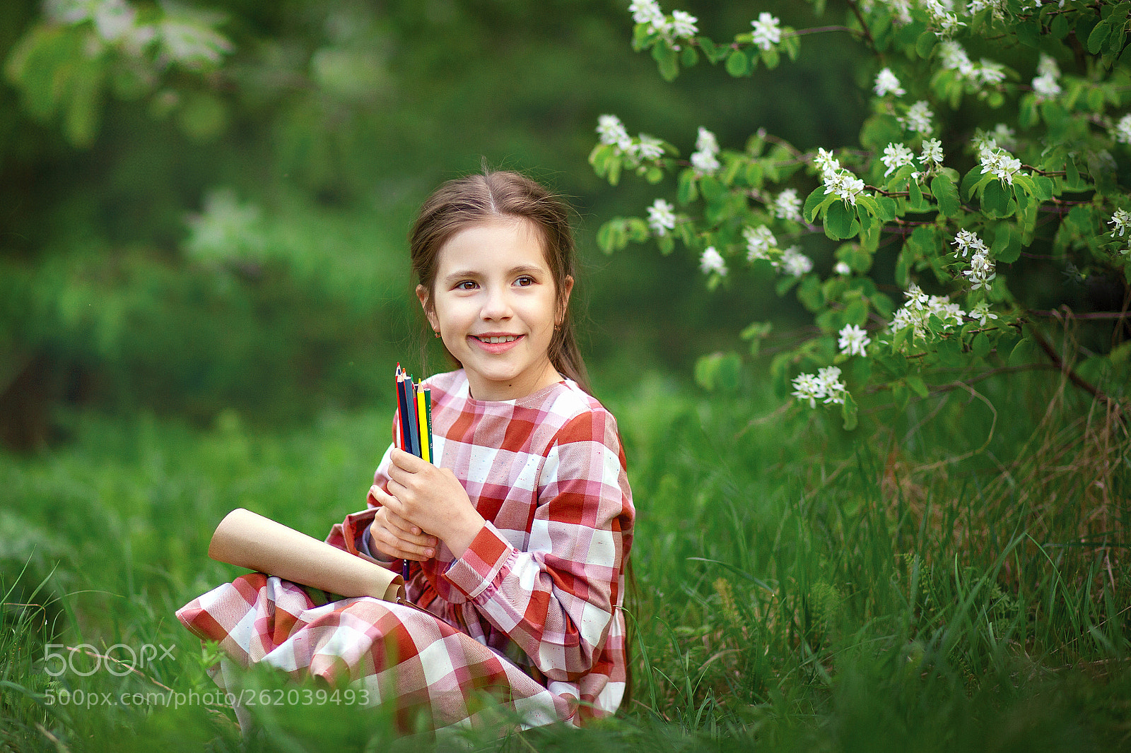 Canon EOS 6D sample photo. Summer sketches photography