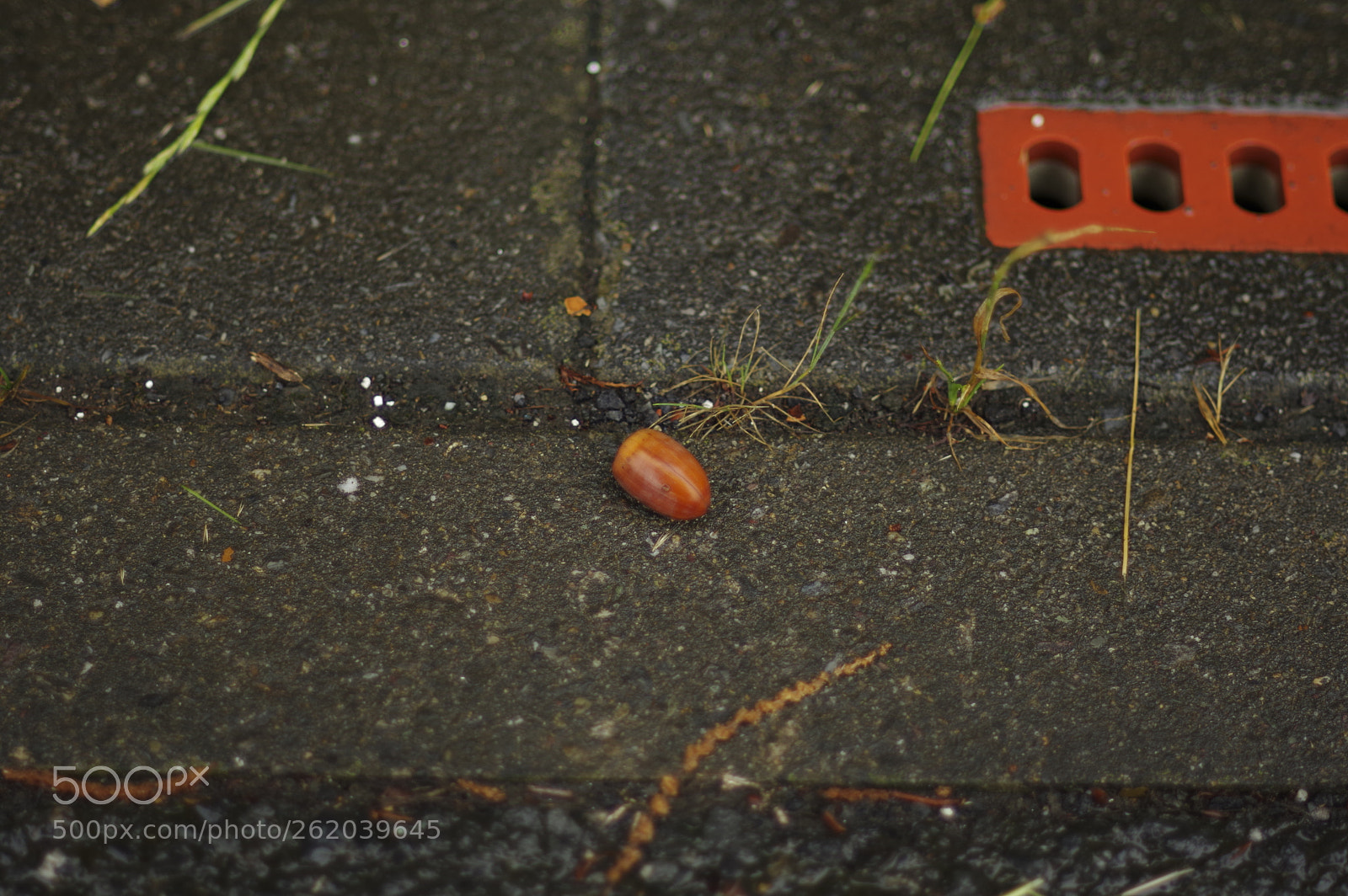 Pentax smc DA* 55mm F1.4 SDM sample photo. The place where it photography