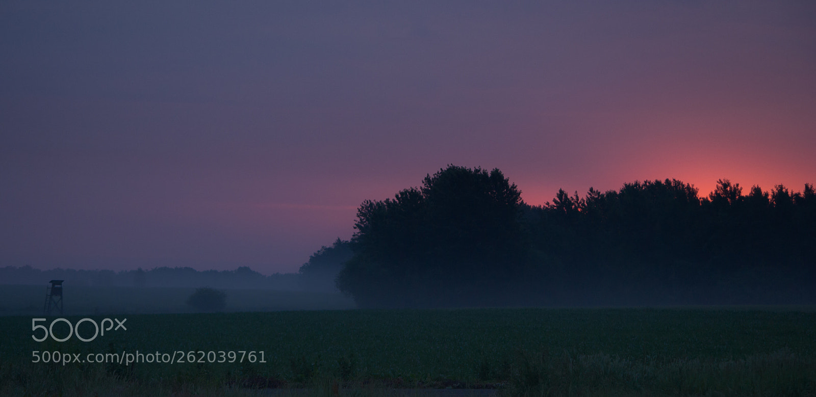 Nikon D3100 sample photo. Untitled photography