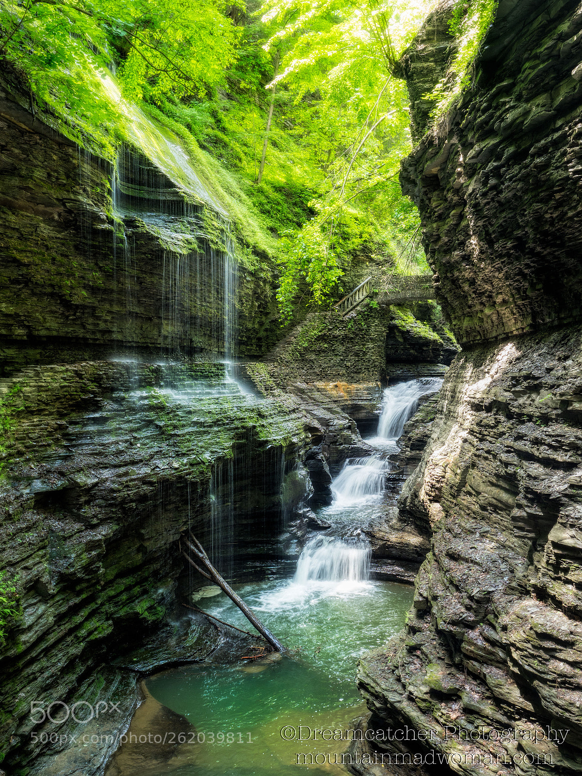Olympus OM-D E-M1 Mark II sample photo. Watkins glen state park photography