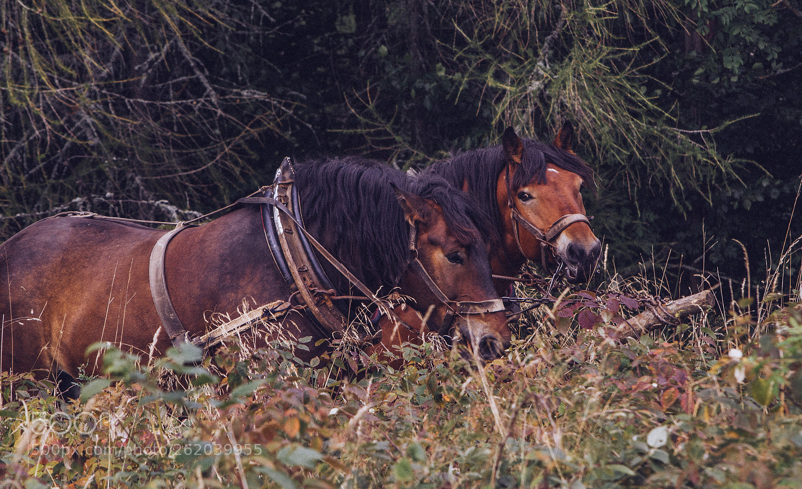 Nikon D3100 sample photo. Untitled photography