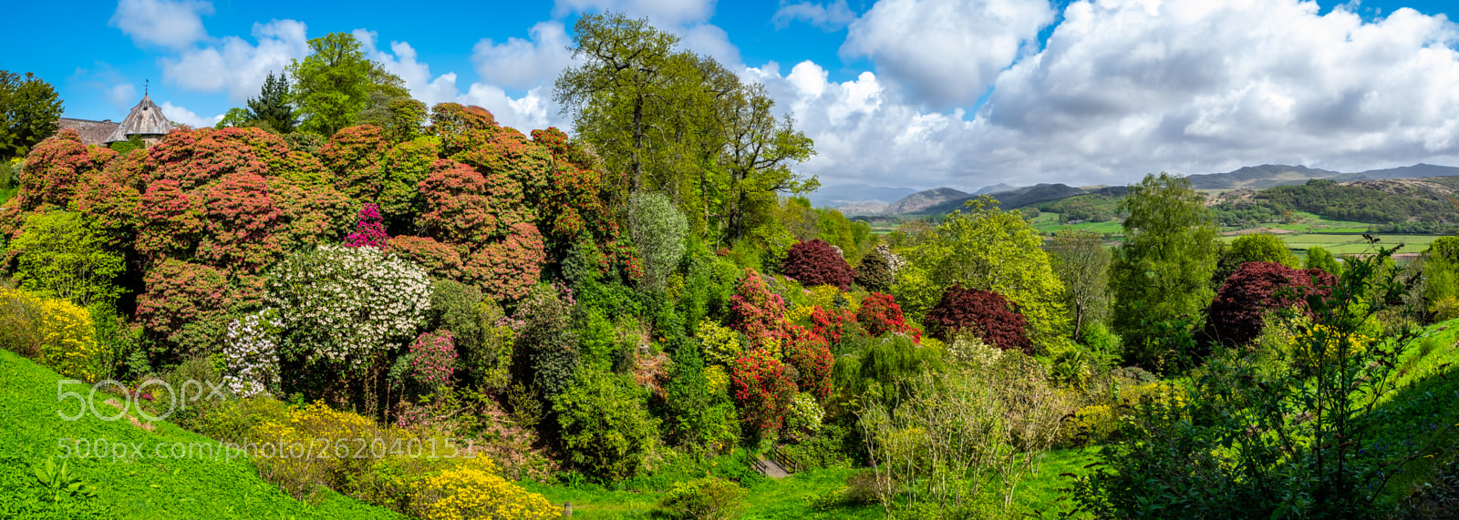 Fujifilm X-T1 sample photo. " muncaster gardens" photography