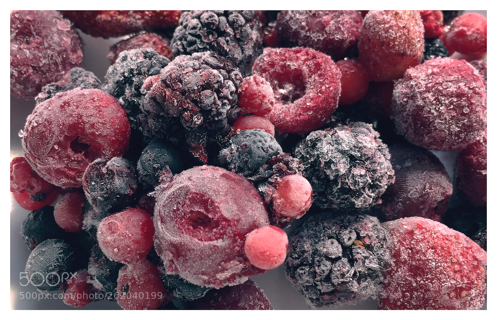 Apple iPhone 6 sample photo. Frozen photography