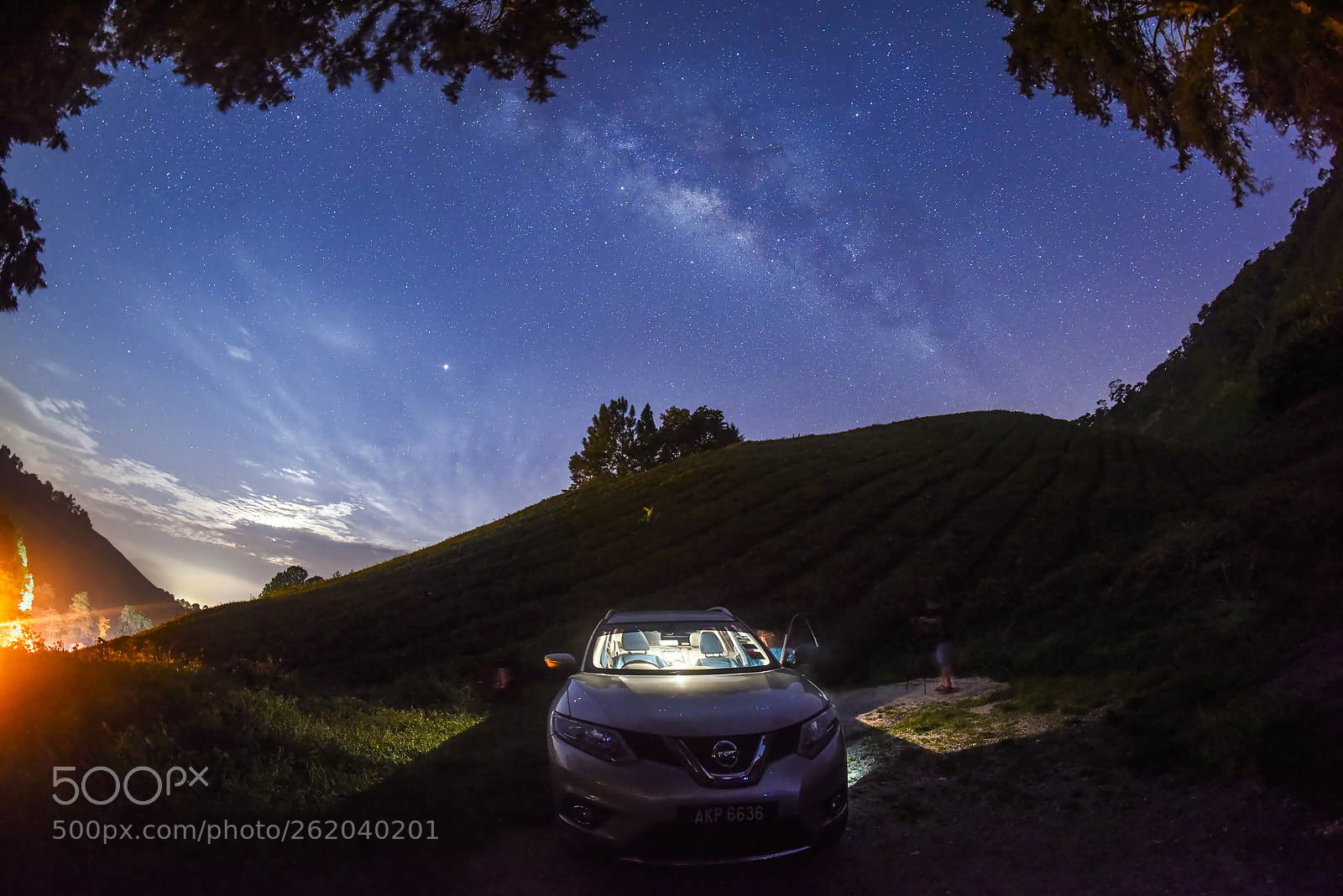 Nikon D810 sample photo. Cameron highland tea plantation photography