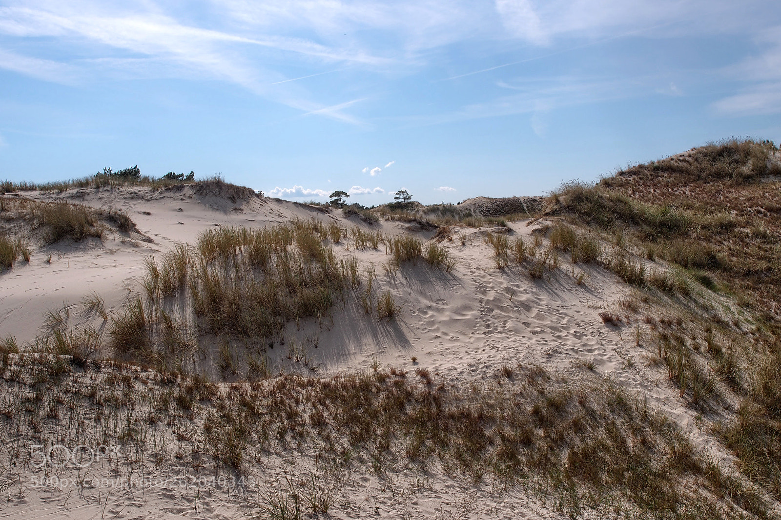 Olympus PEN E-PL5 sample photo. Dunes near hel, poland photography