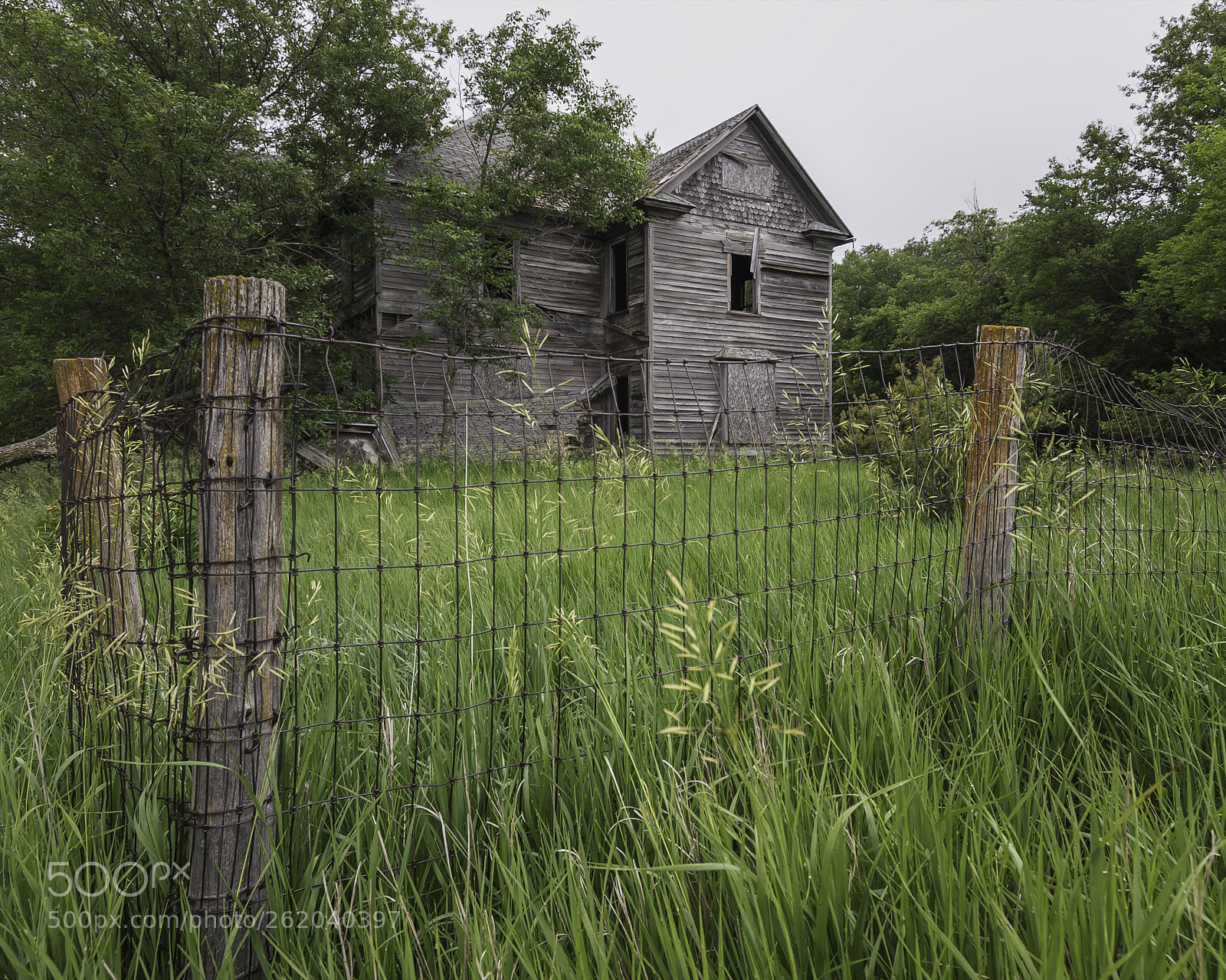 Nikon D750 sample photo. Home photography