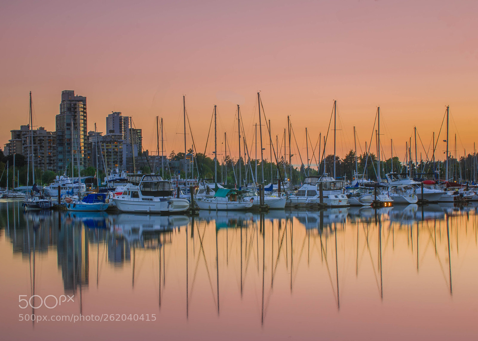 Nikon D80 sample photo. Canada stanley park downtown photography