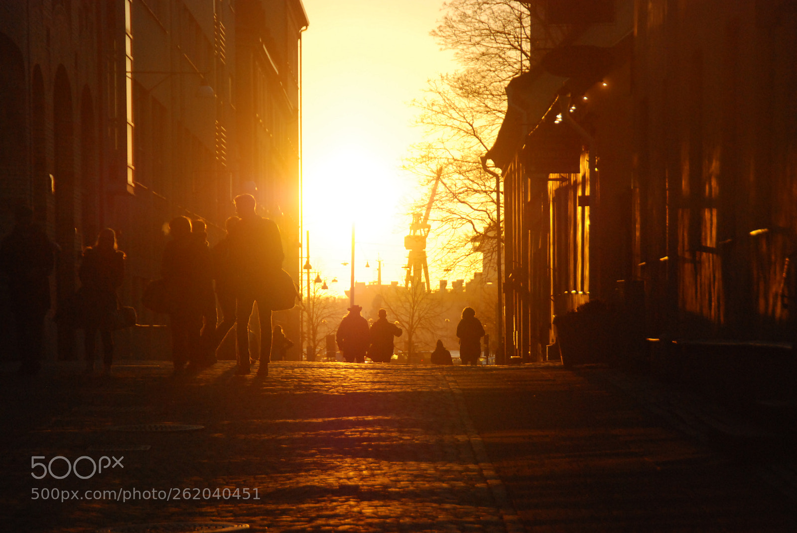 Nikon D80 sample photo. Golden sky and city photography